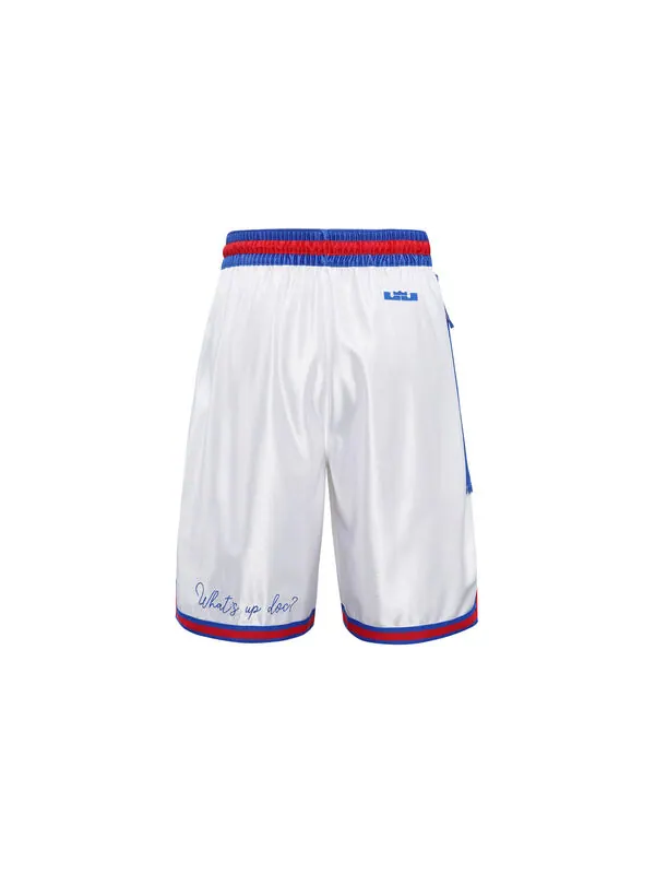 Спортивные шорты Nike Large Dunk 2 Space Jam LeBron James 23 Large Shorts White — изображение 2 из 3, белый