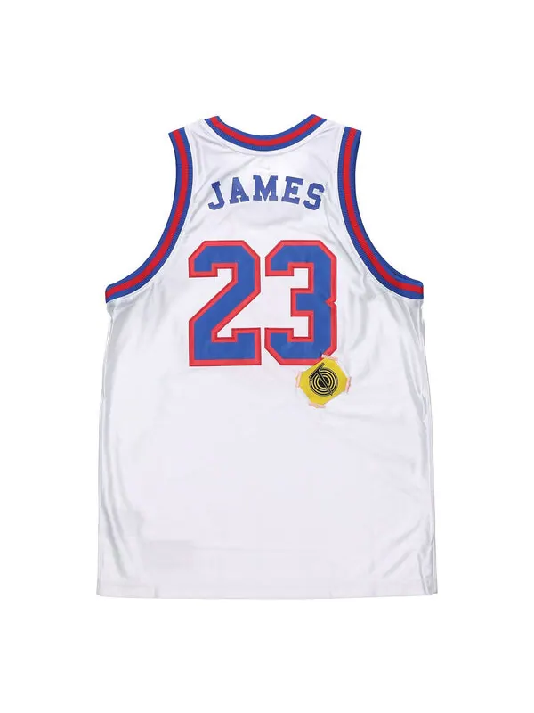 Майка Nike NBA Large Dunk 2 Space Jam LeBron James 23 Large Jersey White — изображение 1 из 3, белый