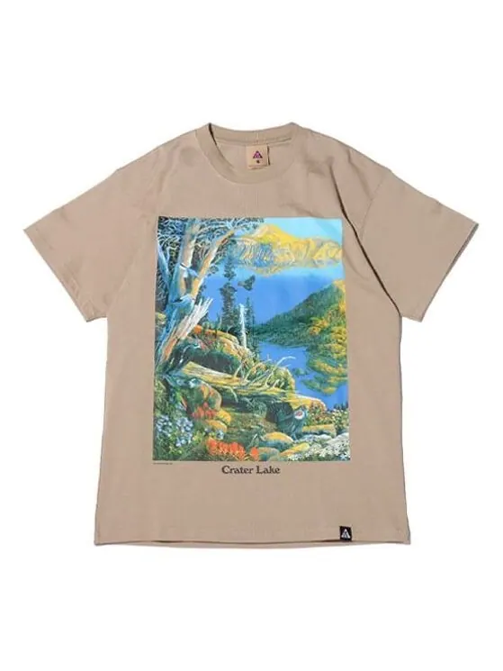Футболка Nike ACG Crater Lake Sports Printing Pattern Round Neck Short Sleeve Khaki — изображение 1 из 4, хаки
