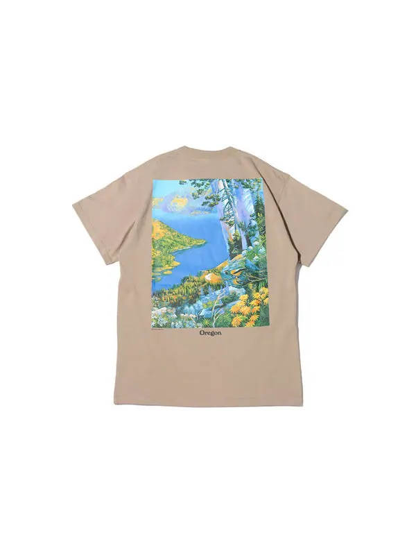 Футболка Nike ACG Crater Lake Sports Printing Pattern Round Neck Short Sleeve Khaki — изображение 2 из 4, хаки