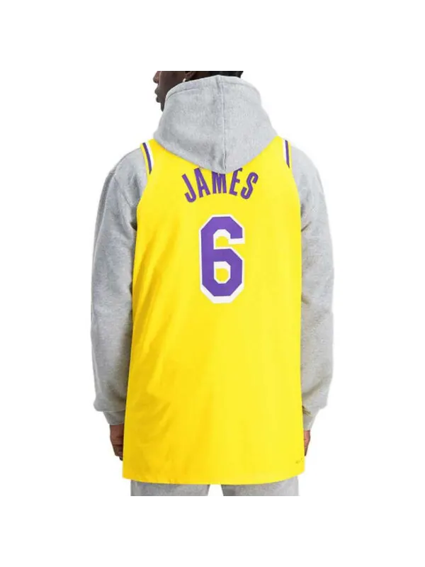 Майка Nike x NBA LA Lakers Jerseys 'LeBron James 6' — изображение 4 из 4, желтый