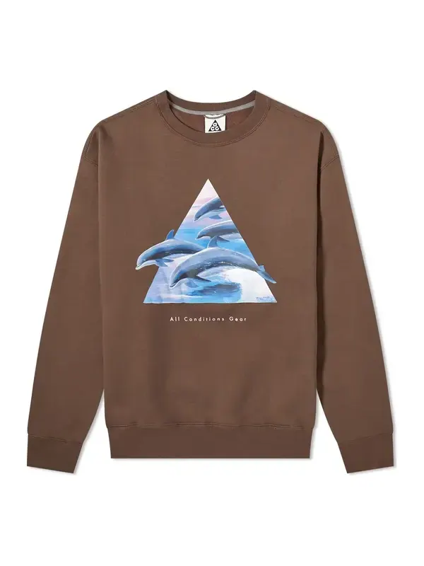 Толстовка Nike ACG Whale Crew Sweat 'Ironstone Smoke Grey' — изображение 1 из 4, бежевый/мульти