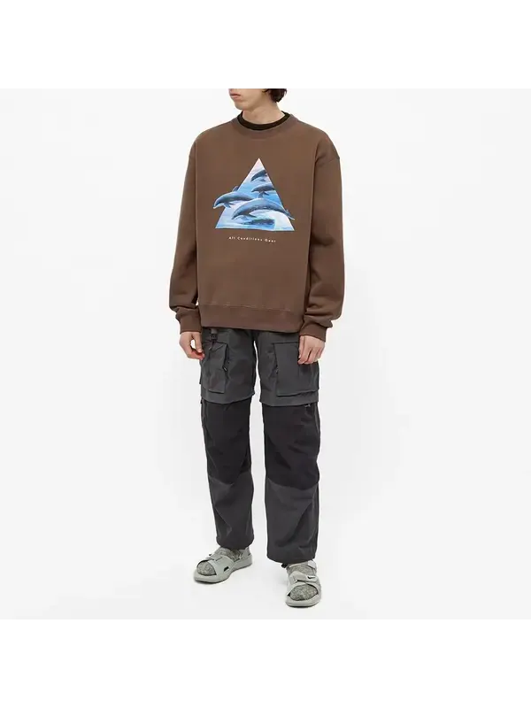 Толстовка Nike ACG Whale Crew Sweat 'Ironstone Smoke Grey' — изображение 2 из 4, бежевый/мульти