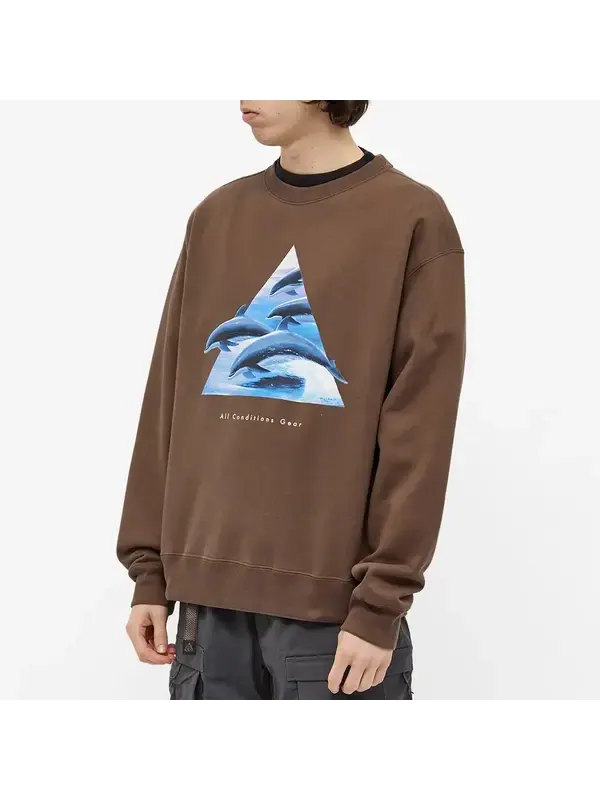 Толстовка Nike ACG Whale Crew Sweat 'Ironstone Smoke Grey' — изображение 4 из 4, бежевый/мульти