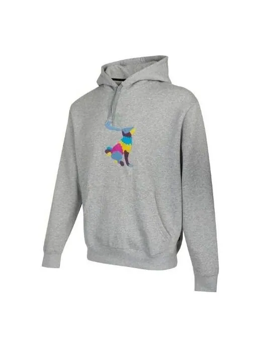 Толстовка Nike graphic hoodie 'Grey' — изображение 1 из 4, серый
