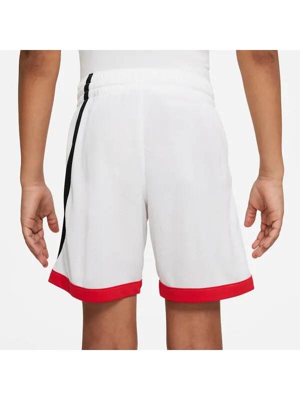 Шорты dri fit баскетбольные шорты Nike — изображение 4 из 4, белый/мульти