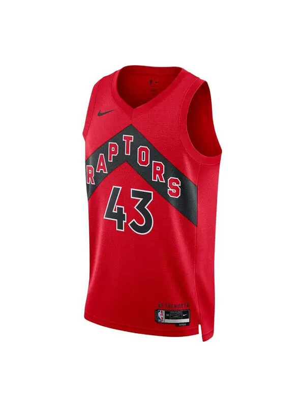 Майка Nike Dri-FIT NBA Toronto Raptors Pascal Siakam Icon Edition 2022/23 Swingman Jersey — изображение 1 из 1, мульти