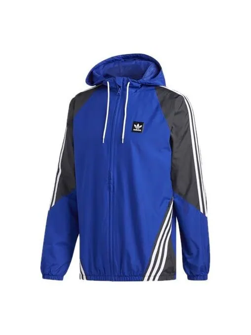 Куртка adidas originals Insley Hooded Jacket Blue — изображение 1 из 4, синий