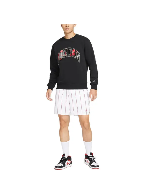 Свитер логотип свитер Air Jordan — изображение 2 из 3, черный/мульти