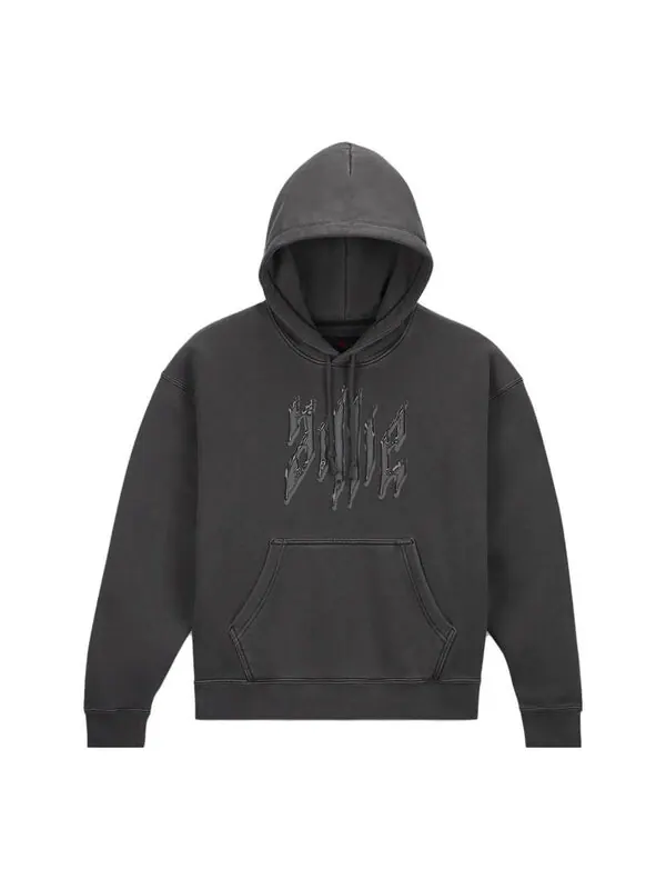 Толстовка (WMNS) Air Jordan x Billie Eilish Hoodie 'Black' — изображение 1 из 2, черный/мульти