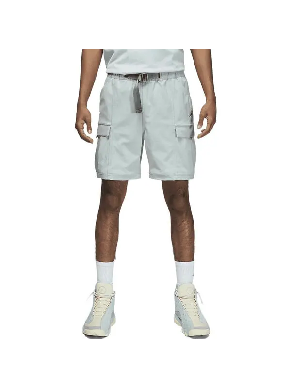 Повседневные брюки x solefly Air Jordan — изображение 2 из 4, светлый серый/серый