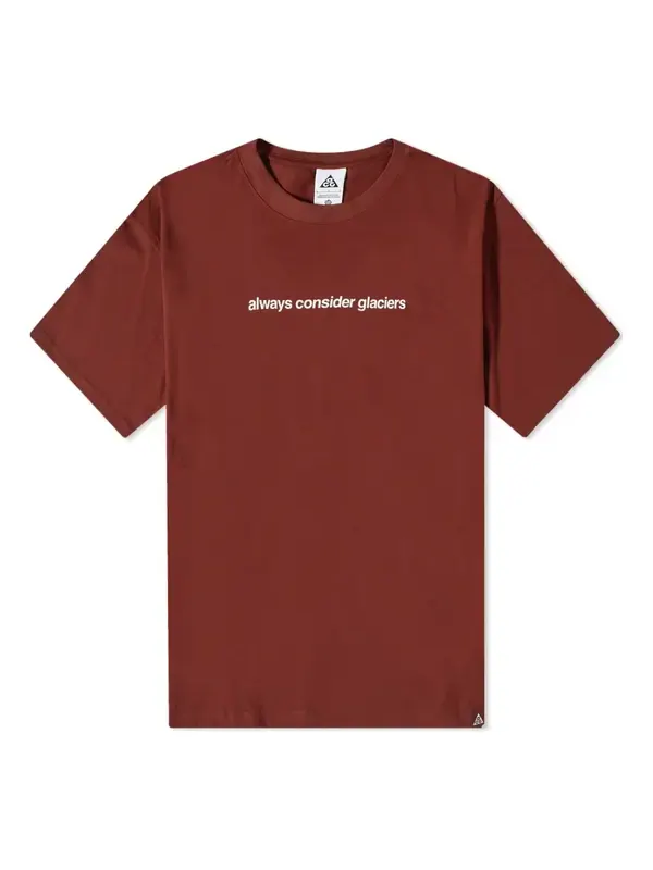 Футболка Nike ACG NRG Glacier T-Shirt 'Oxen Brown' — изображение 1 из 4, коричневый