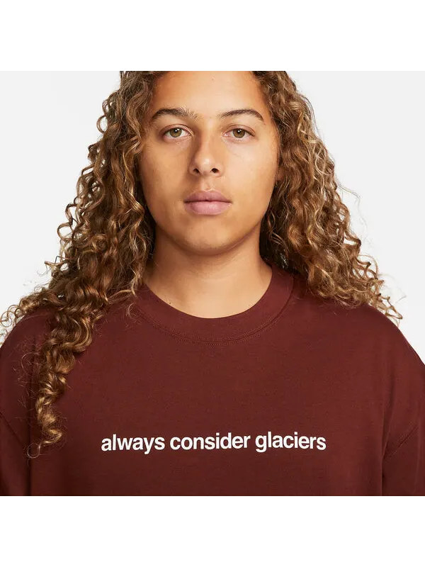 Футболка Nike ACG NRG Glacier T-Shirt 'Oxen Brown' — изображение 2 из 4, коричневый