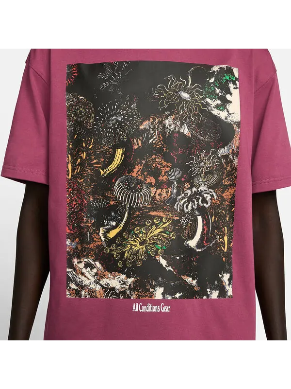 Футболка Nike ACG Tidal Pool T-Shirt 'Rosewood' — изображение 2 из 3, фиолетовый/мульти