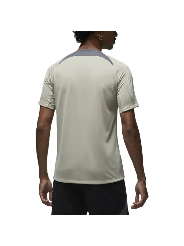 Футболка x Paris Saint Germain Strike Third Dri Fit Soccer с коротким рукавом Air Jordan — изображение 4 из 4, серый/черный