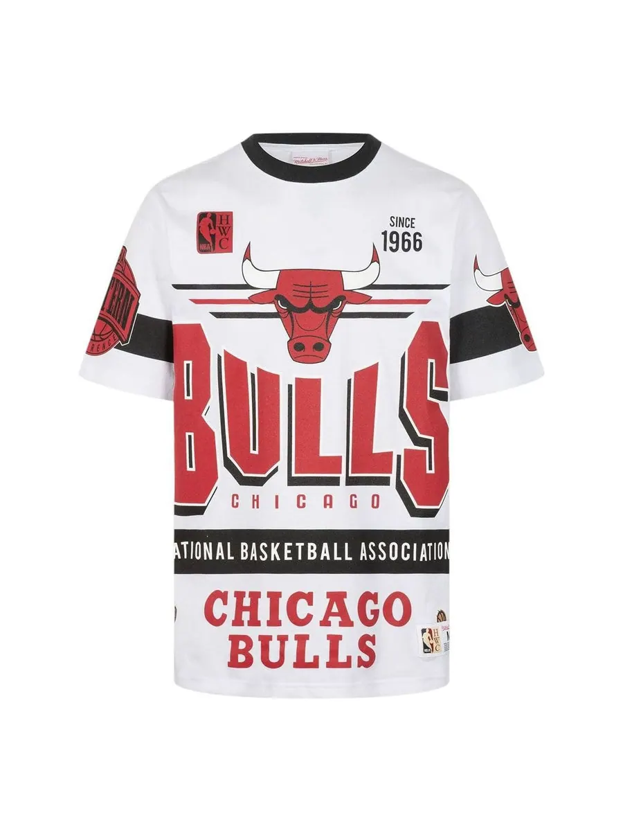 Футболка Mitchell & Ness NBA Origins Premium Vintage T-Shirt 'Chicago Bulls Team' — изображение 1 из 2, белый