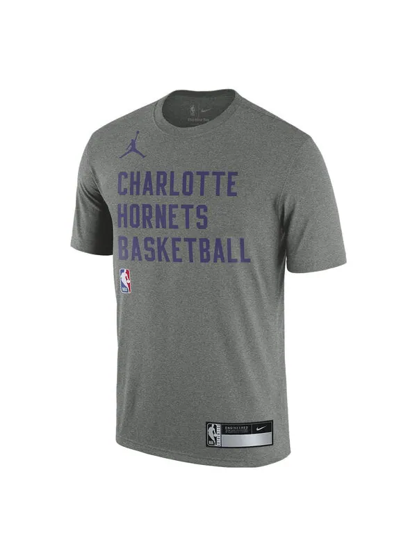 Футболка x nba charlotte hornets логотип футболка Air Jordan — изображение 1 из 1, серый/фиолетовый