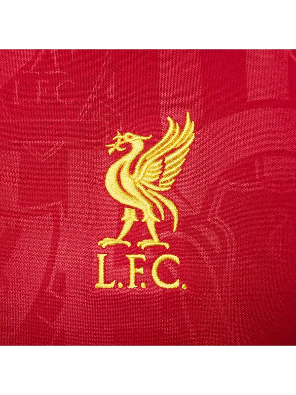 Футболка Liverpool fc Academy Pro DRI Fit Soccer Pre Match Футболка Nike — изображение 1 из 2, красный