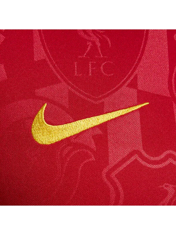 Футболка Liverpool fc Academy Pro DRI Fit Soccer Pre Match Футболка Nike — изображение 2 из 2, красный