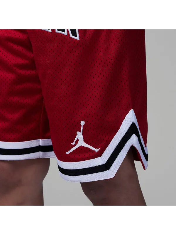 Короткие словесные знаки короткие Air Jordan — изображение 3 из 4, красный/мульти