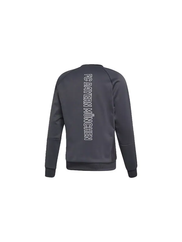 Толстовка adidas Logo Printing Bayern Munich Soccer/Football Sports Pullover Gray — изображение 2 из 2, серый