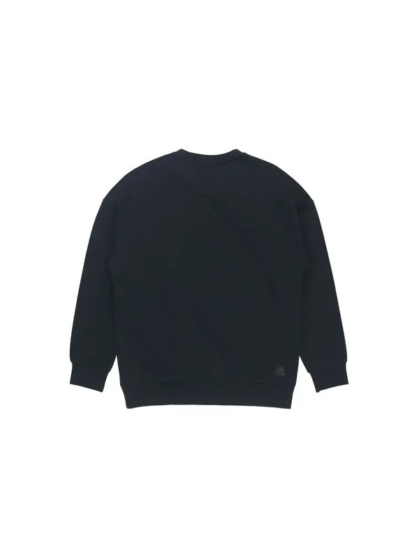 Толстовка adidas logo Applique Hooded Round-neck Loose Sweater Men Black — изображение 2 из 4, черный
