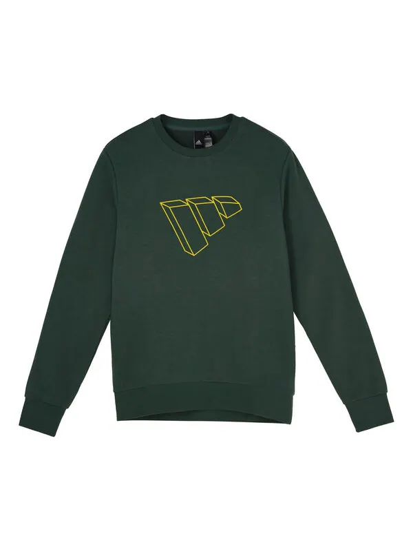 Толстовка adidas Fi Swt Ft Bos Casual Sports Round Neck Pullover Green — изображение 1 из 4, зеленый