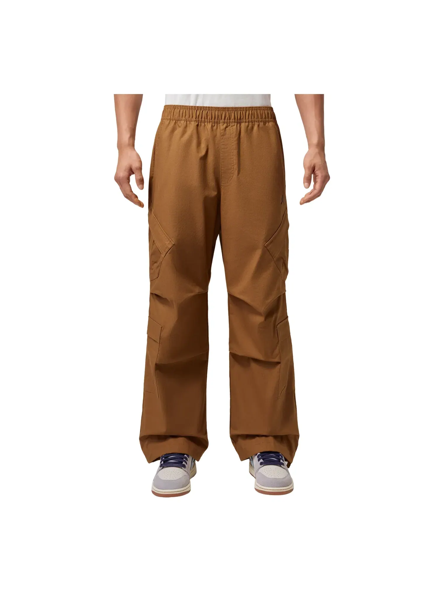 Мужские брюки с принтом Air Jordan Flight Utility Pants — изображение 1 из 5, коричневый