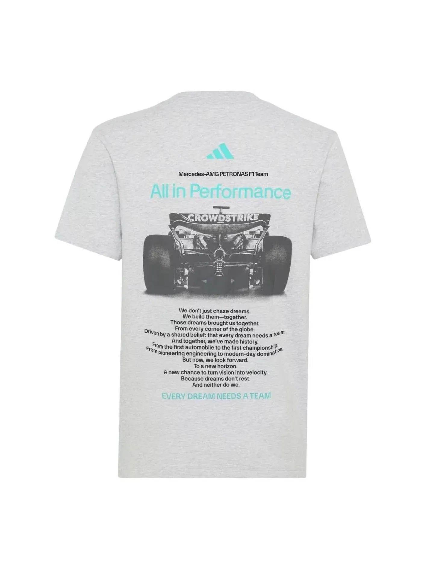 Мужская футболка с коротким рукавом Adidas Mercedes AMG Petronas Formula 1 Team T-Shirt — изображение 1 из 2, серый