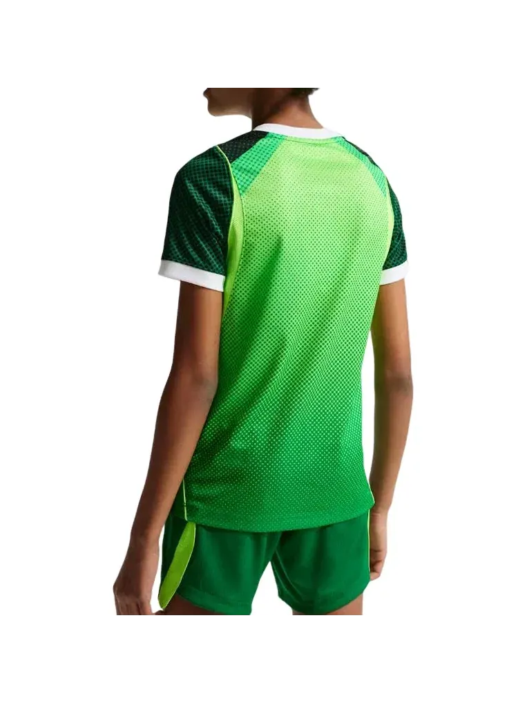 Детская футболка-джерси Nike Nigeria 2026 Stadium Home Dri-FIT — изображение 2 из 2, зеленый