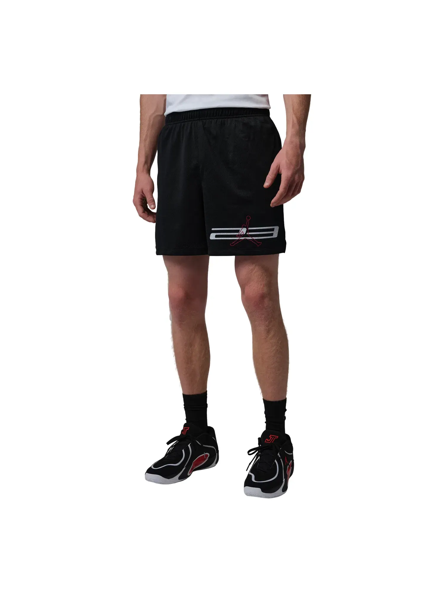 Мужские шорты с сетчатым принтом Jordan Dri-FIT Mesh Graphic Shorts — изображение 1 из 5, черный