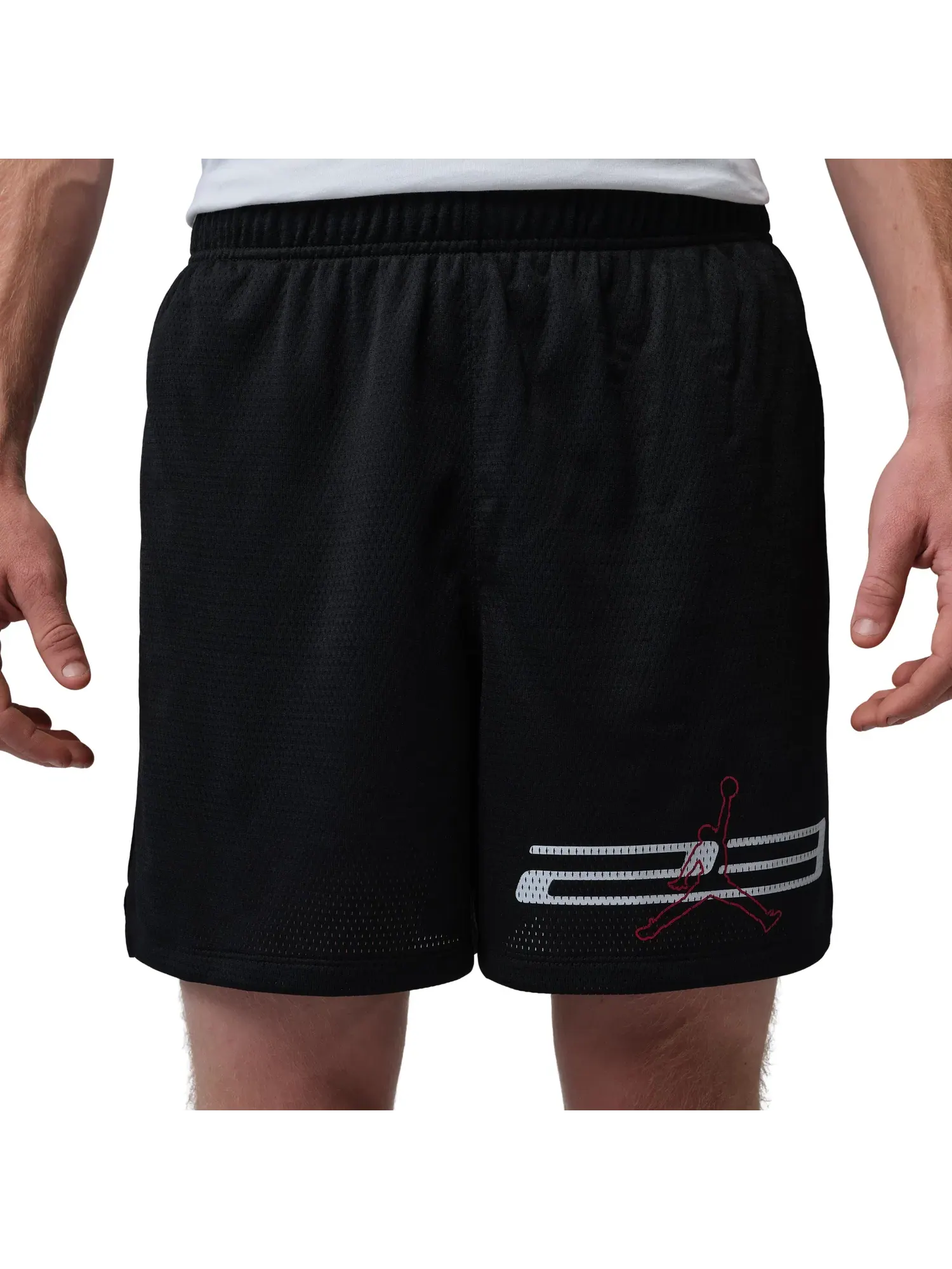 Мужские шорты с сетчатым принтом Jordan Dri-FIT Mesh Graphic Shorts — изображение 2 из 5, черный