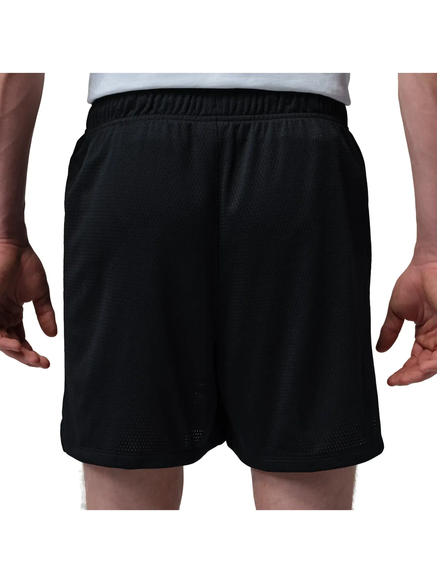 Мужские шорты с сетчатым принтом Jordan Dri-FIT Mesh Graphic Shorts — изображение 3 из 5, черный