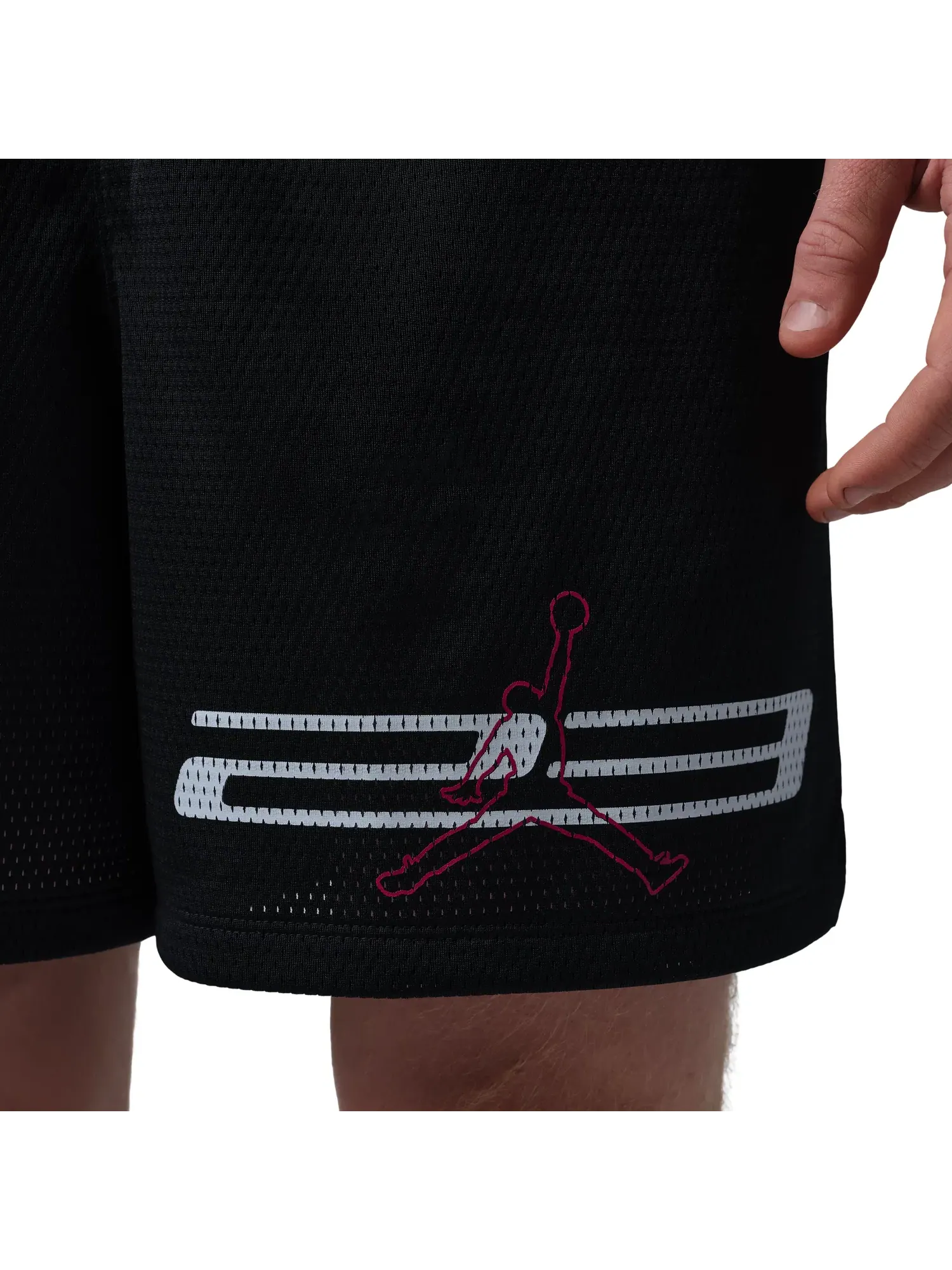 Мужские шорты с сетчатым принтом Jordan Dri-FIT Mesh Graphic Shorts — изображение 5 из 5, черный