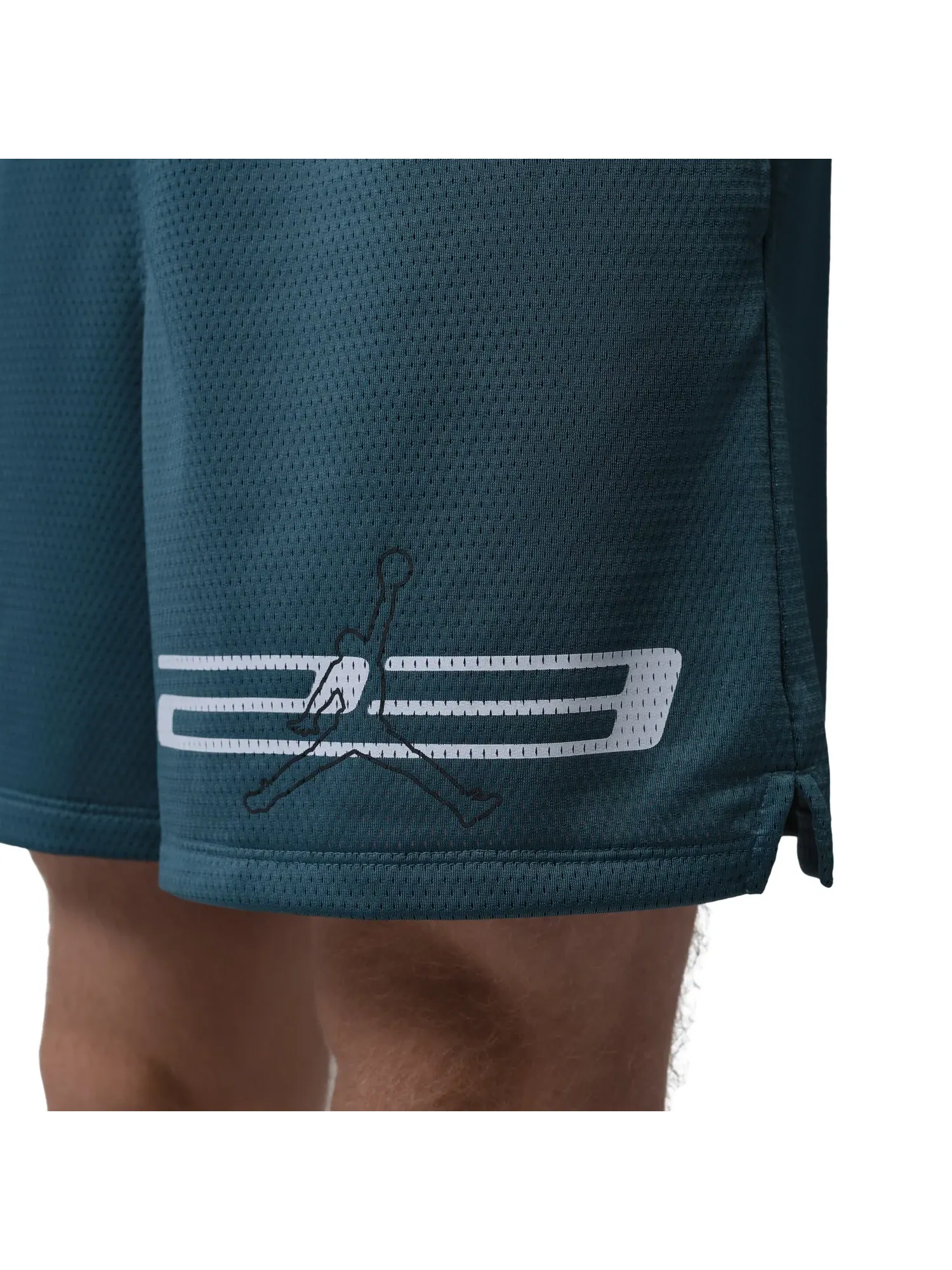 Мужские шорты из дышащей сетки Dri-FIT Jordan — изображение 5 из 5, зеленый