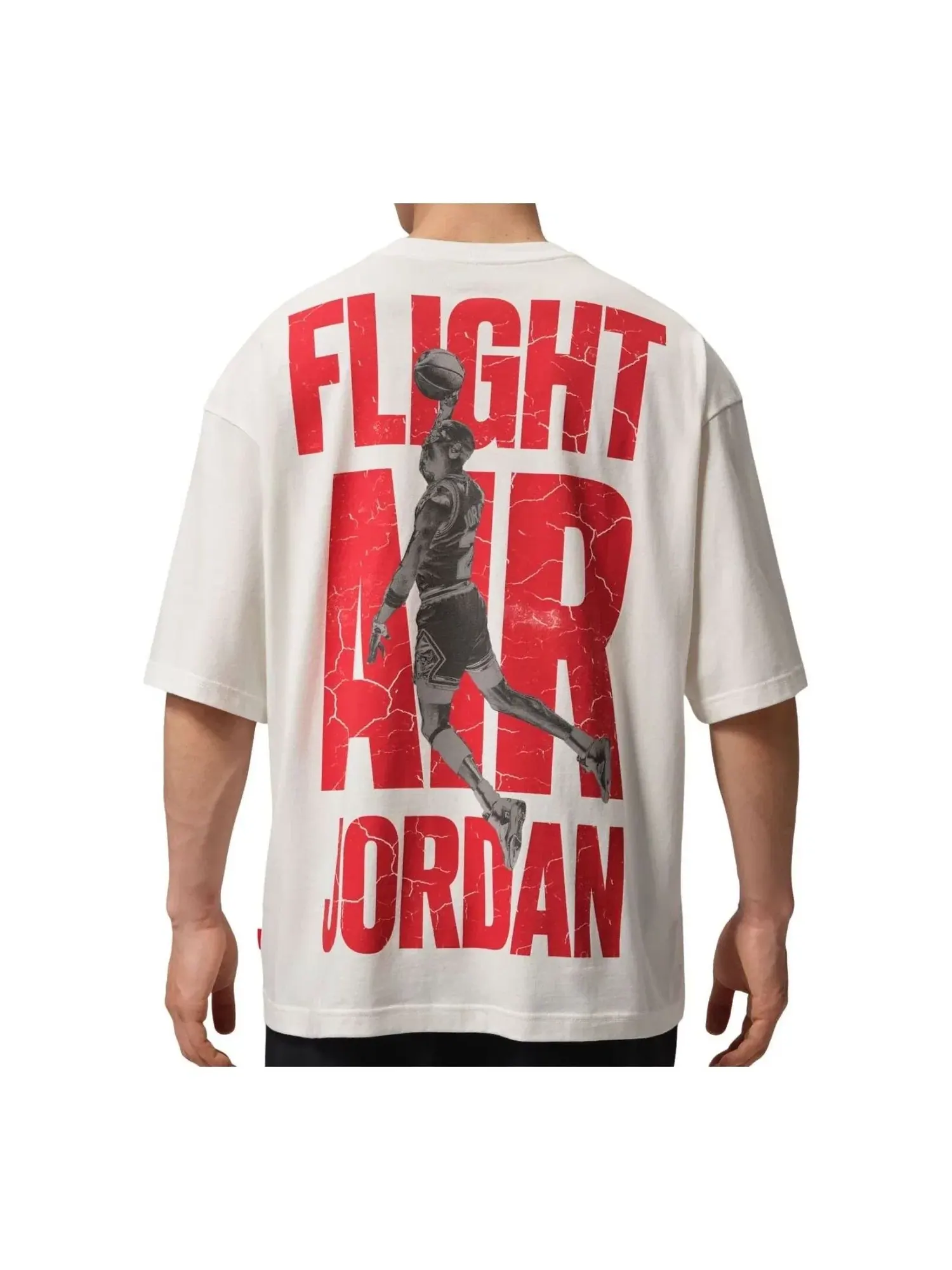 Мужская футболка с принтом Air Jordan T-Shirt Sail — изображение 1 из 2, бежевый