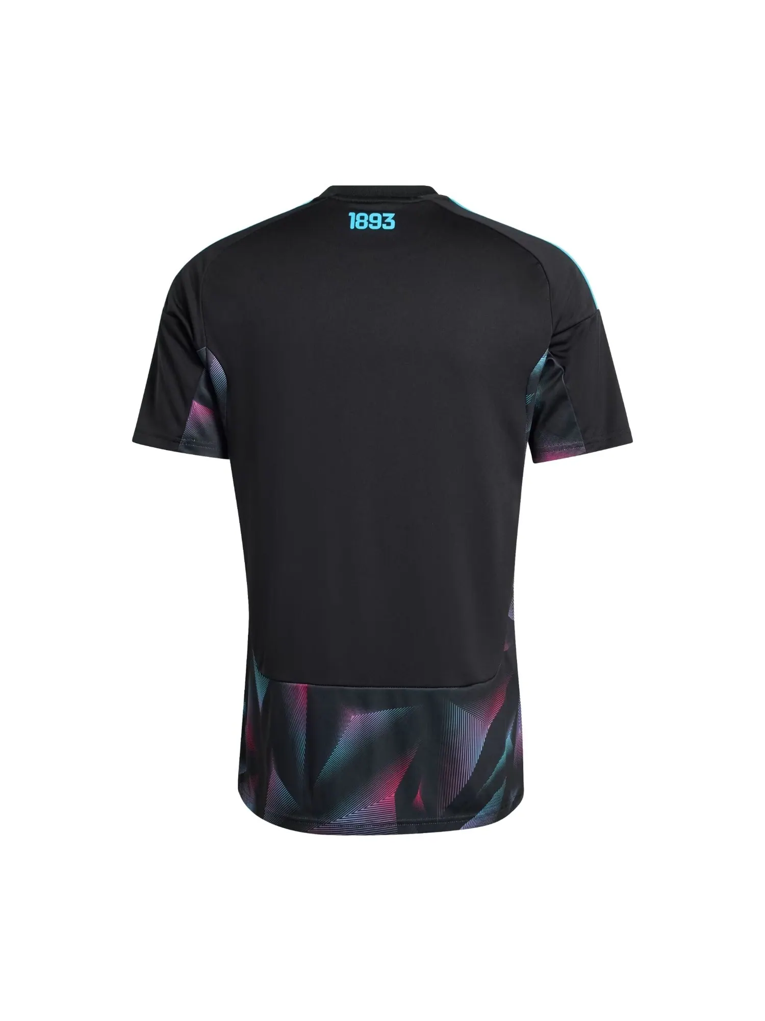 Вратарская футболка Adidas Argentina 26 Home 'Black' — изображение 2 из 2, черный