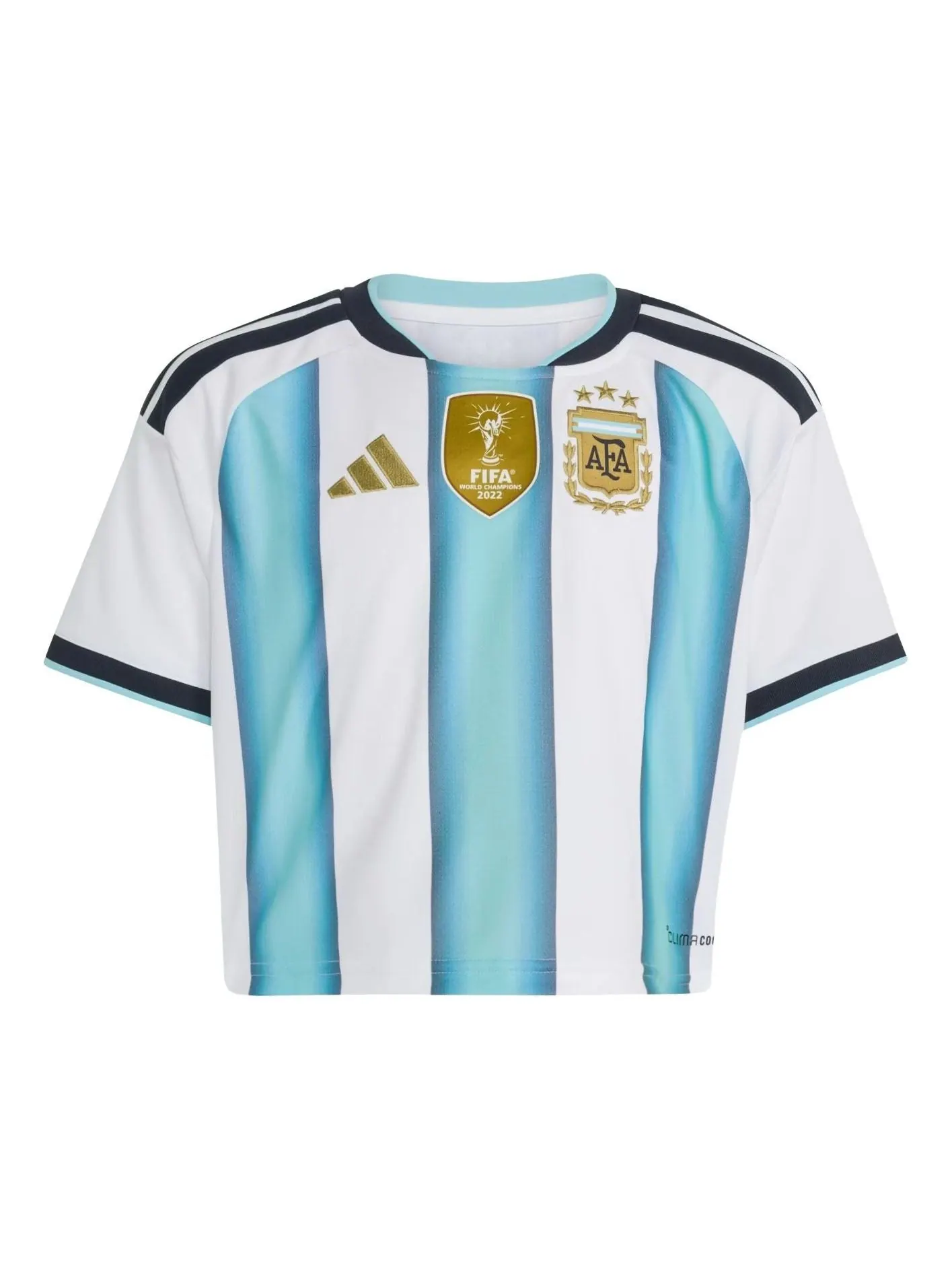 (WMNS) Домашняя укороченная футболка Adidas Argentina 26, цвет «Белый, ледяной — изображение 1 из 4