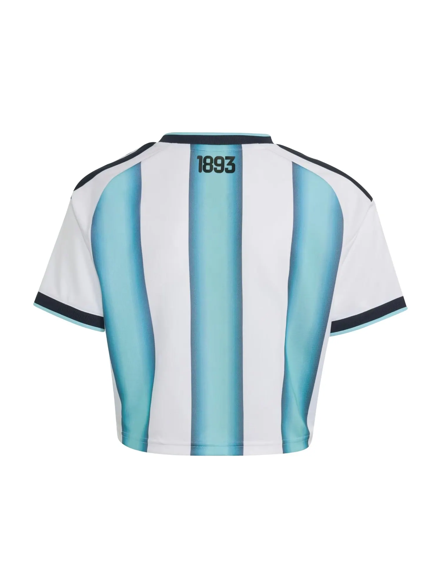 (WMNS) Домашняя укороченная футболка Adidas Argentina 26, цвет «Белый, ледяной — изображение 2 из 4