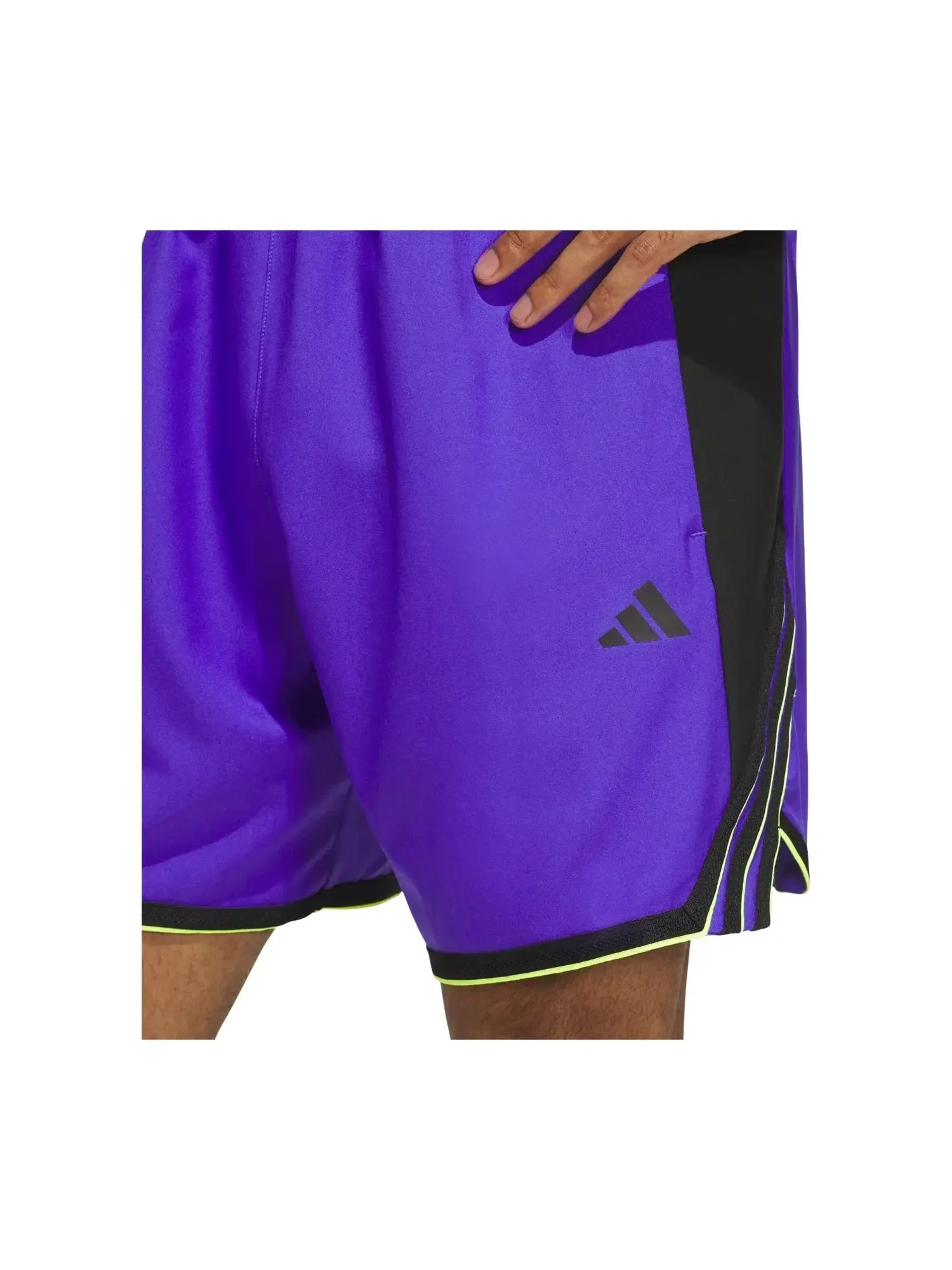 Мужские шорты с принтом Crazy Lite Adidas — изображение 2 из 5, фиолетовый