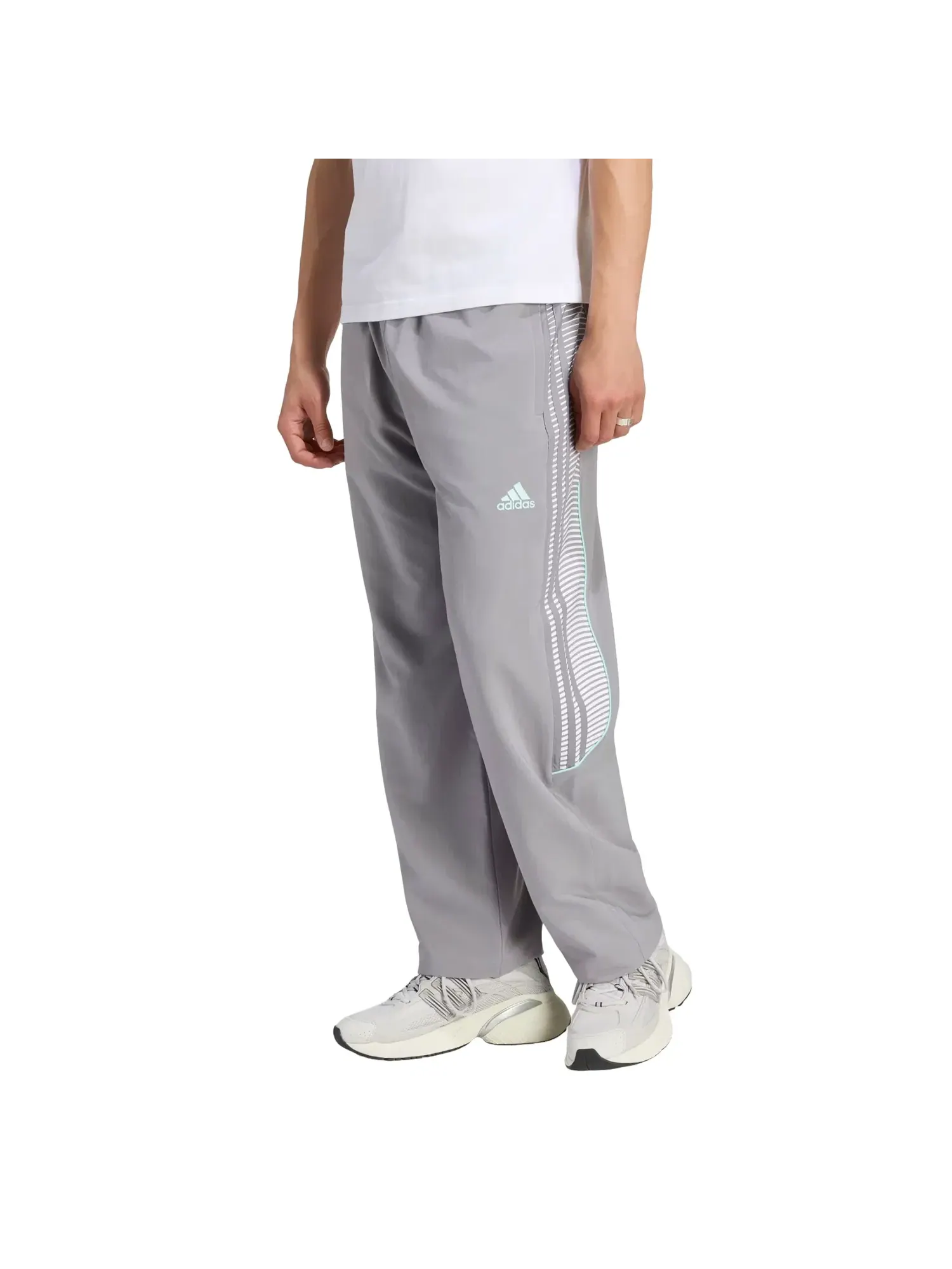 Мужские спортивные штаны с длинным рукавом Adidas x Coca-Cola Teamgeist 26 Trackpant — изображение 2 из 4, серый
