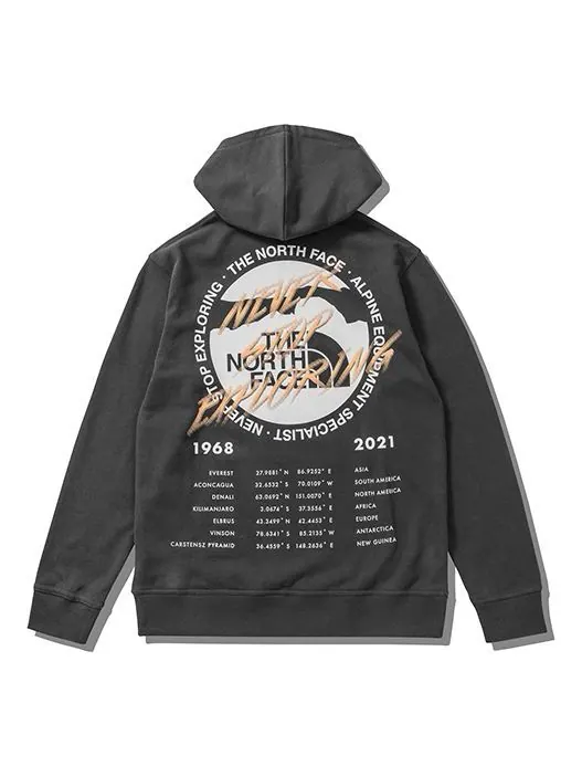 Толстовка x invincible half dome graphic hoodie 'grey' The North Face — изображение 1 из 4, серый