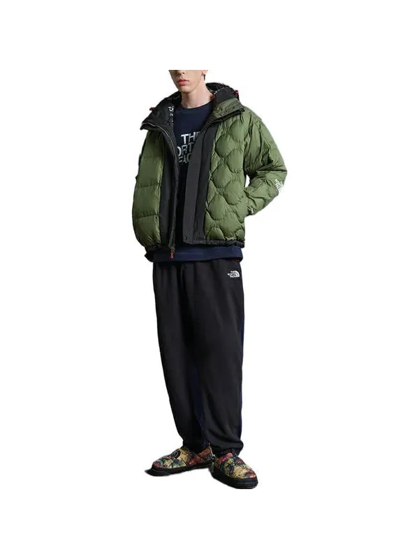 Куртка ue logo jacket 'green' The North Face — изображение 4 из 4, зеленый