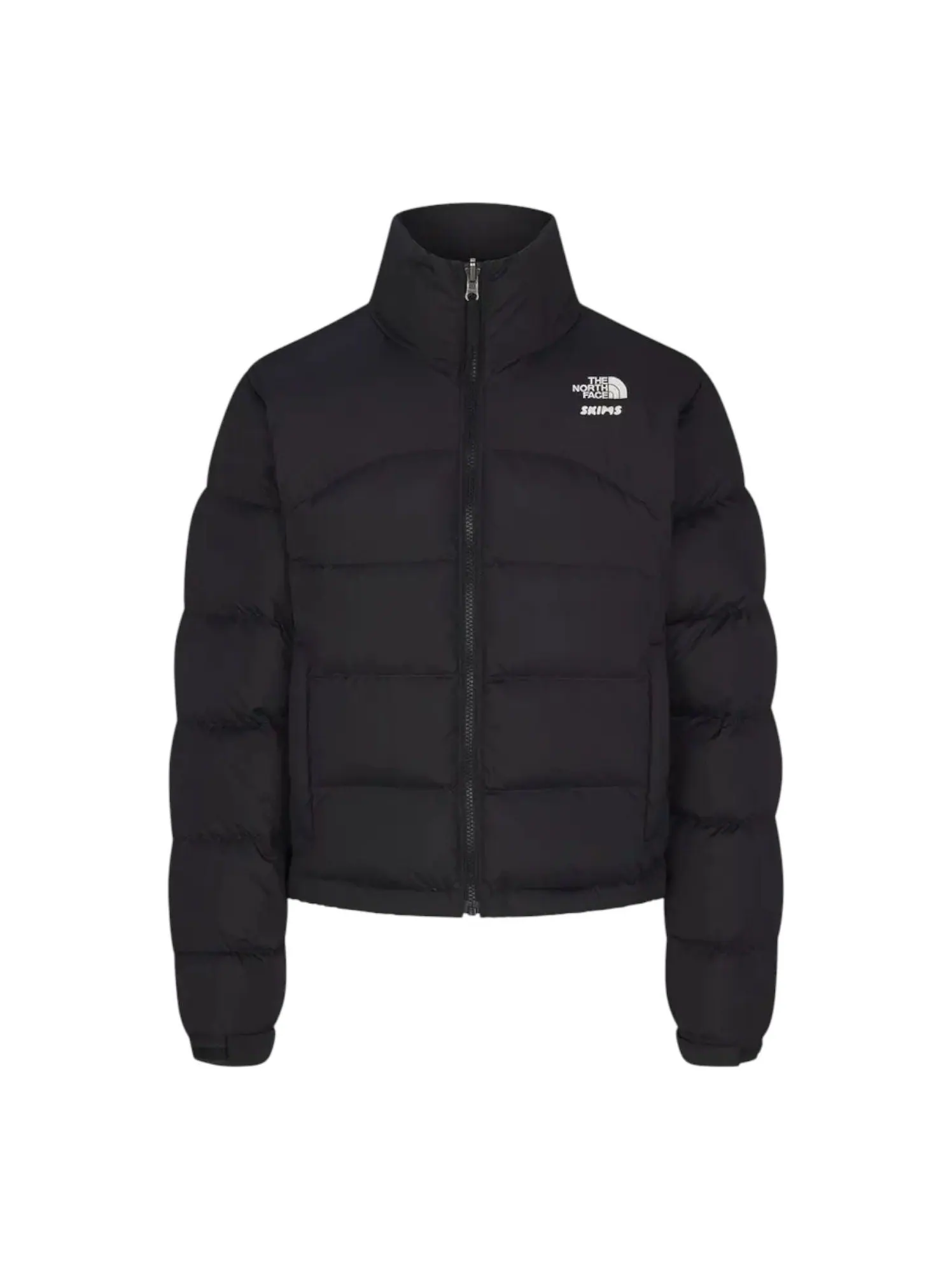 (WMNS) Куртка The North Face x SKIMS FW24 Retro 2000 Nupse Jacket 'Onyx' — изображение 1 из 2, оникс