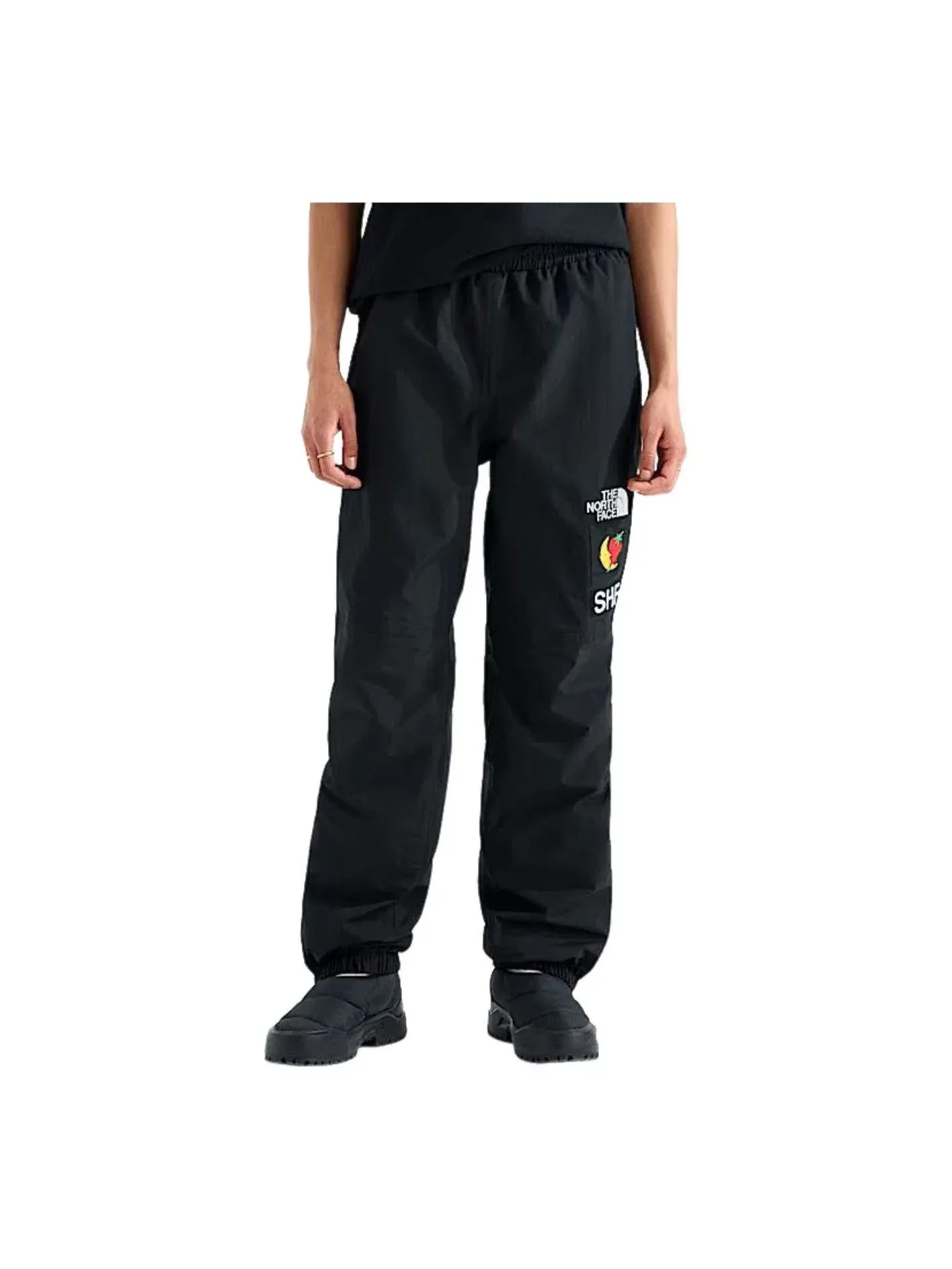 Мужские штаны с принтом Sky High Farm Goods The North Face — изображение 1 из 5, черный