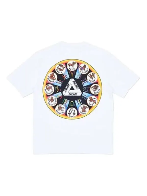 Футболка zodigac t-shirt 'white' Palace — изображение 1 из 2, белый