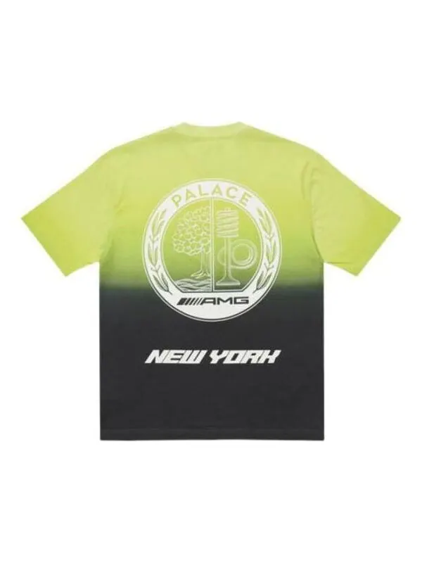 Футболка x amg 2.0 new york t-shirt 'green' Palace — изображение 1 из 2, зеленый