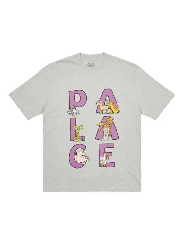 Футболка fw22 session t-shirt 'grey' Palace — изображение 1 из 1, серый