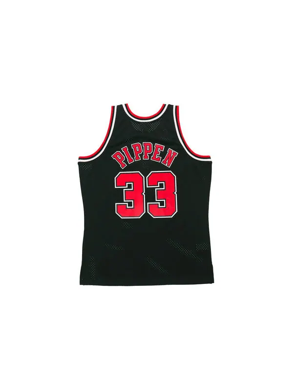 Майка Mitchell & Ness NBA SW97-98 33 — изображение 2 из 4, мульти