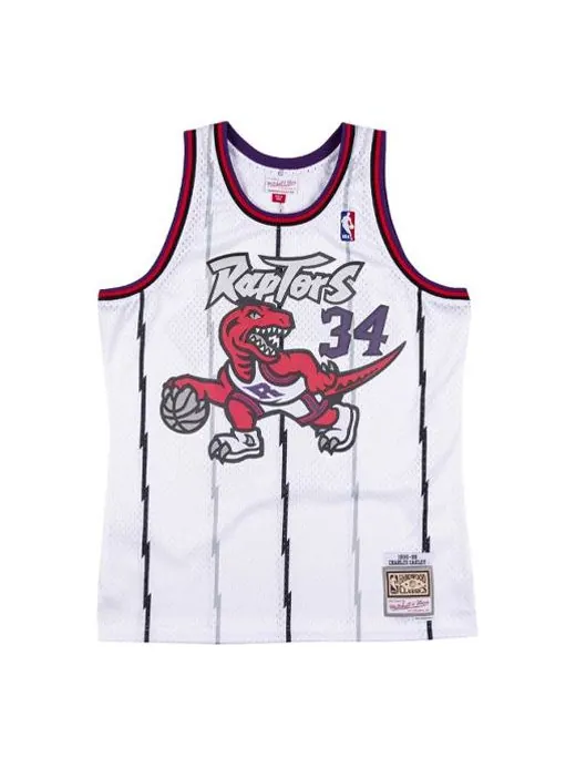 Баскетбольное джерси Mitchell & Ness NBA Swingman Jersey Toronto Raptors 1998-99 Charles Oakley — изображение 1 из 2